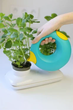 Quut Cana Small Lagoon -SportX Verkäufe 5425031170556 7