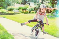 Wishbonebike Laufrad 3-in-1 Recycled -SportX Verkäufe 9421903253132 10