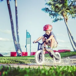 Wishbonebike Laufrad 3-in-1 Recycled -SportX Verkäufe 9421903253132 9