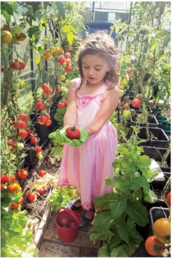 Bigjigs Gartenarbeitshandschuhe - Baumwolle -SportX Verkäufe bigjigs gartenarbeitshandschuhe baumwolle 3