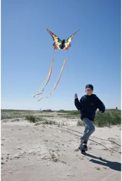 Butterfly Kite Swallowtail ""R"" -SportX Verkäufe butterfly kite swallowtail quot quot r quot quot 3