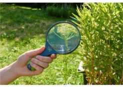 Haba Terra Kids Kinder-Lupe -SportX Verkäufe haba terra kids kinder lupe 3