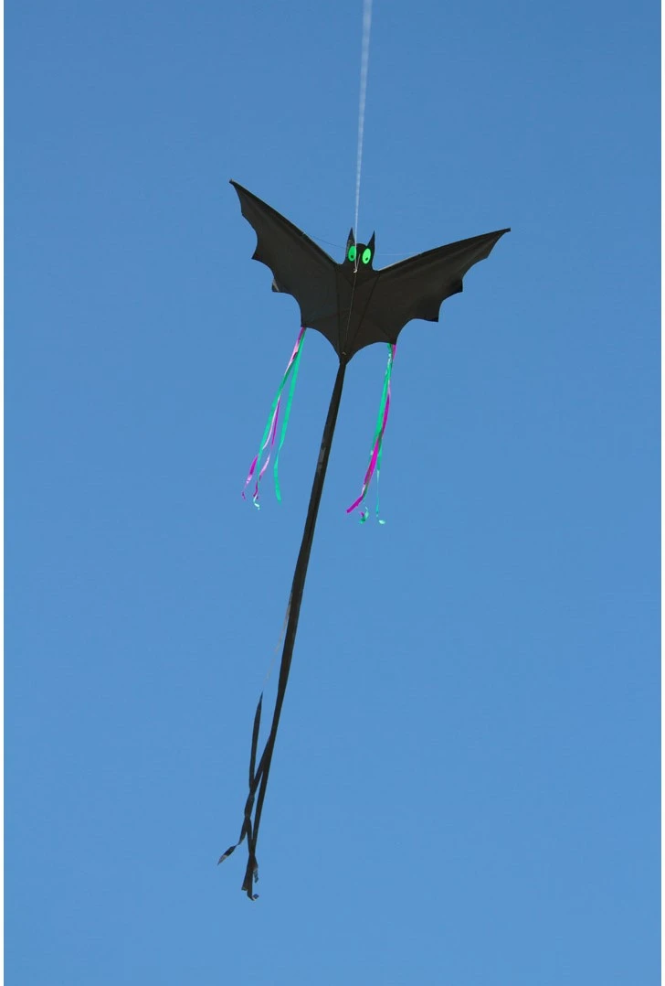 HQ 100040 - Bat Black "L", Kinderdrachen Einleiner, Ab 5 Jahren, 30x60cm, Inkl. 10kp Polyesterschnur 25m Auf Griff, 2-4 Beaufort 2 HQ 100040 - Bat Black "L", Kinderdrachen Einleiner, Ab 5 Jahren, 30x60cm, Inkl. 10kp Polyesterschnur 25m Auf Griff, 2-4 Beaufort – Bild 2