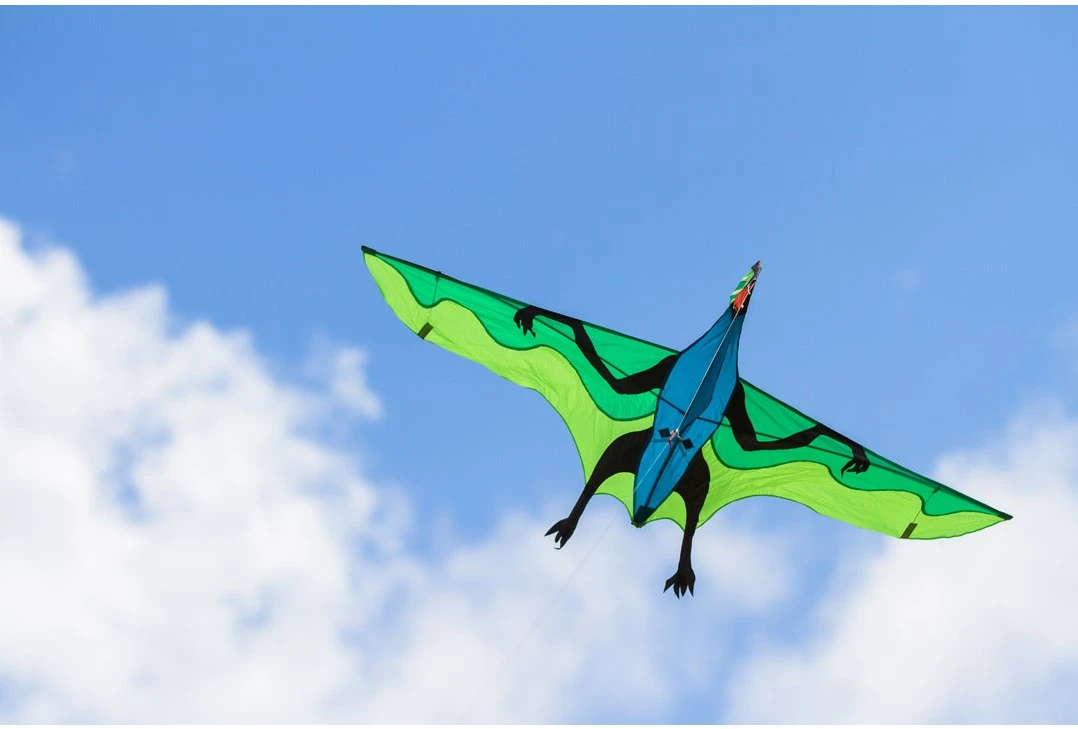 HQ 106516 - Flying Dinosaur 3D-Einleiner, Ab 10 Jahren, 105x180 Cm Und 7m Drachenschwanz, Inkl. 17kp Polyesterschnur 40m Auf Spule, 2-5 Beaufort 3 HQ 106516 - Flying Dinosaur 3D-Einleiner, Ab 10 Jahren, 105x180 Cm Und 7m Drachenschwanz, Inkl. 17kp Polyesterschnur 40m Auf Spule, 2-5 Beaufort – Bild 3