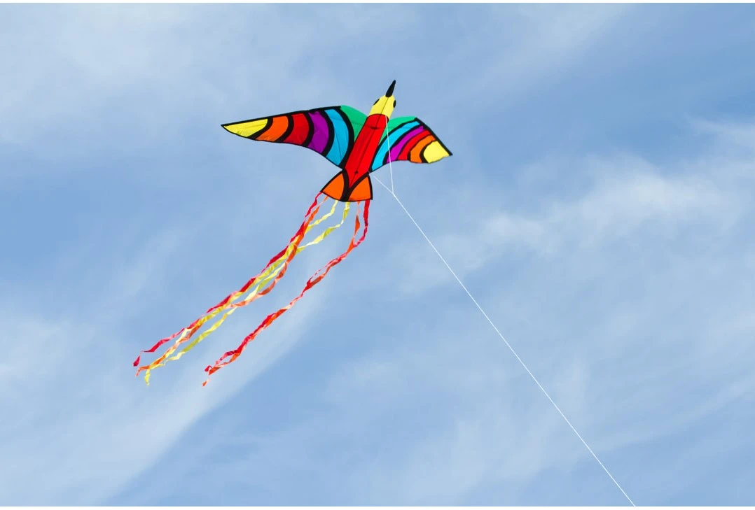 HQ 106522 - Tropical Bird Kinderdrachen Einleiner, Ab 5 Jahren, 75x150cm, Inkl. 17kp Polyesterschnur 40m Auf Spule, 2-5 Beaufort 3 HQ 106522 - Tropical Bird Kinderdrachen Einleiner, Ab 5 Jahren, 75x150cm, Inkl. 17kp Polyesterschnur 40m Auf Spule, 2-5 Beaufort – Bild 3