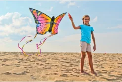 HQ Schmetterlingsdrachen Rubin "L -SportX Verkäufe schmetterlingsdrachen rubin quot l 3