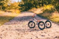 Trybike Laufrad 2-in-1 Steel - Grau -SportX Verkäufe trybike loopfiets 2 in 1 steel grijs 6