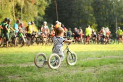 Trybike Laufrad 2-in-1 Steel - Vintage Grün -SportX Verkäufe trybike loopfiets 2 in 1 steel vintage groen 7