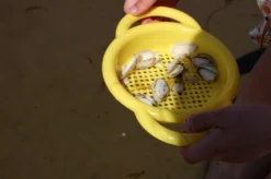 Viking Toys Ecoline Sand & Wasser - Eimerset -SportX Verkäufe viking toys ecoline sand wasser eimerset 3