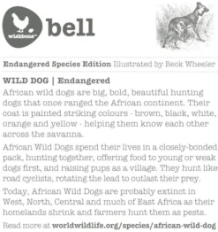 Wishbone Orange Wild Dog Bell -SportX Verkäufe wishbone orange wild dog bell 3